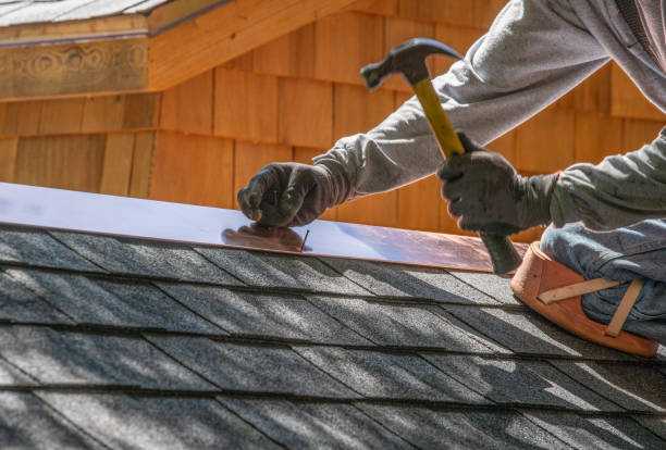 Best Solar Panel Roofing Installation  in Everson, WA
