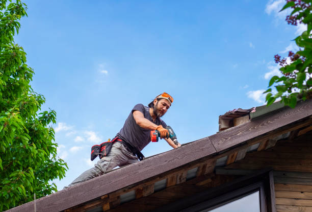 Best Roof Installation  in Everson, WA