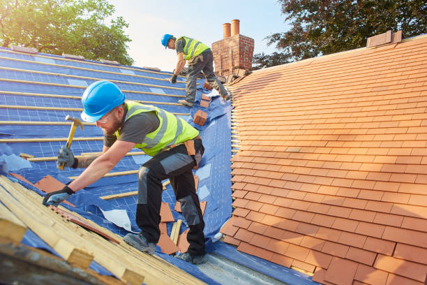 Best Gutter Installation and Repair  in Everson, WA